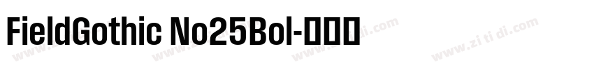 FieldGothic No25Bol字体转换